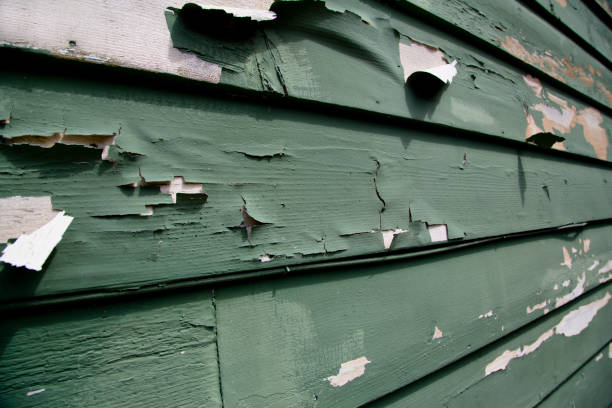 Best Commercial Junk Removal  in Hallsville, MO